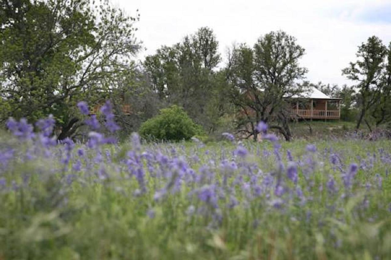 City On A Hill At Spring Creek Φρέντερικσμπεργκ Εξωτερικό φωτογραφία