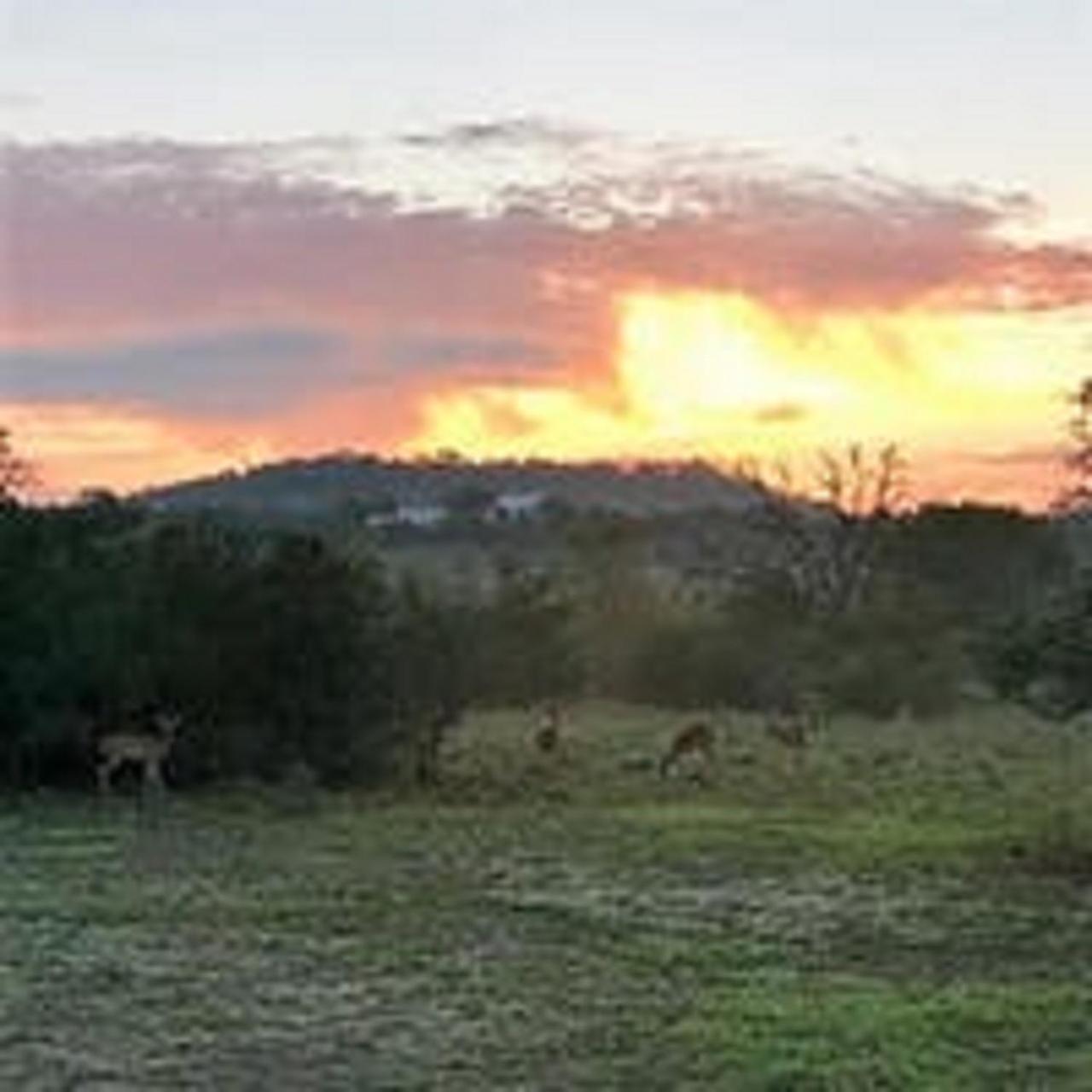 City On A Hill At Spring Creek Φρέντερικσμπεργκ Εξωτερικό φωτογραφία