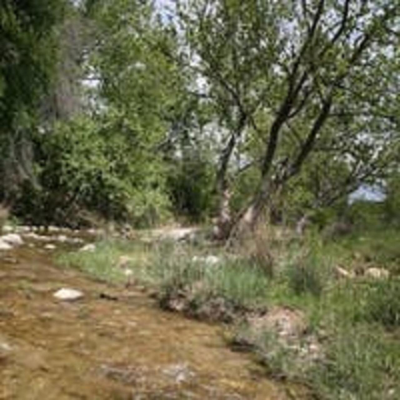 City On A Hill At Spring Creek Φρέντερικσμπεργκ Εξωτερικό φωτογραφία
